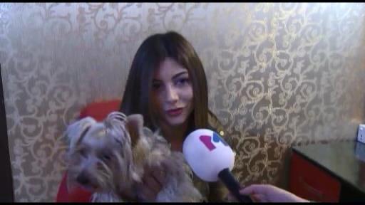 Aysel Əlizadə it  ilə salonda