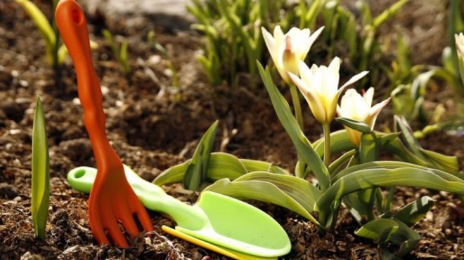 İnsan saçlarından maye gübrə hazırlanıb