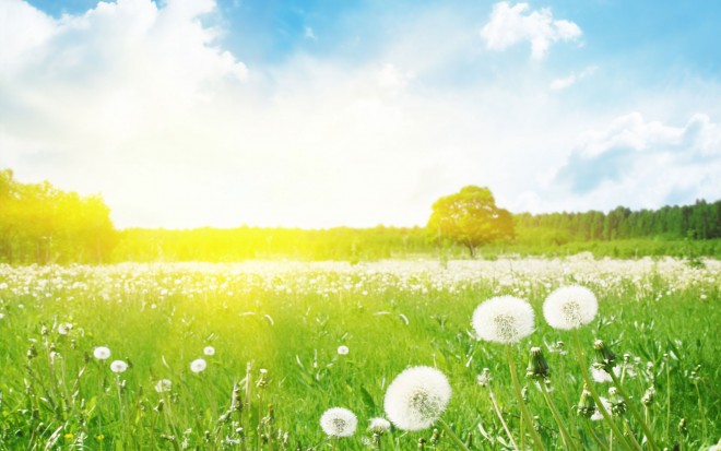 Şənbə günü 36 dərəcə isti olacaq