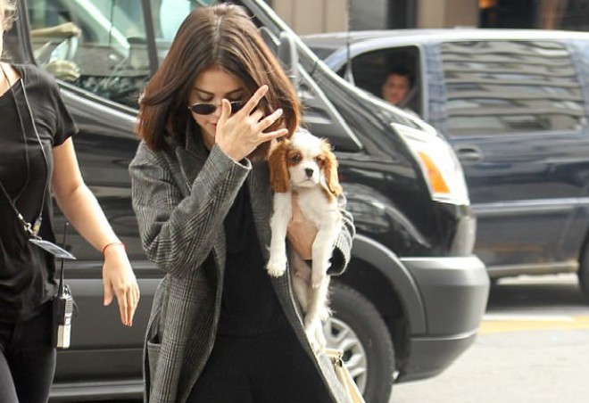 Selena itini qucağında daşıdı -&nbsp;foto