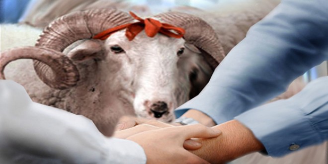 Bu gün Qurban bayramıdır
