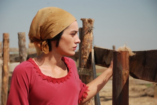 "Çölçü” filmi beynəlxalq arenada