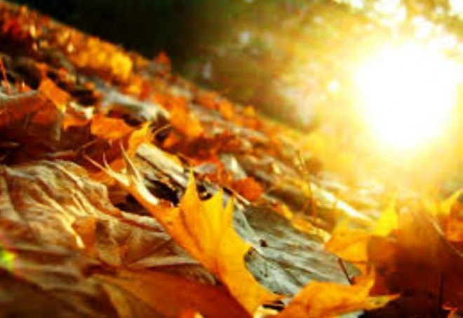 Sabah əsl payız havası olacaq