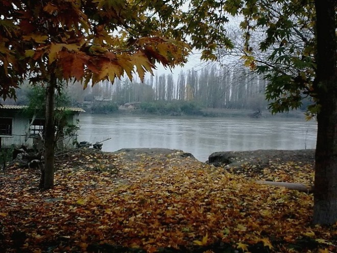 Sabahın hava şəraiti açıqlandı
