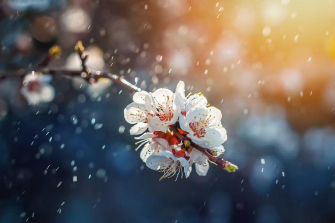 Sabah buludlu hava şəraiti hökm sürəcək