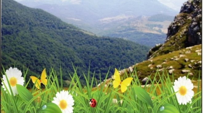 Azərbaycana yaz fəsli daxil oldu