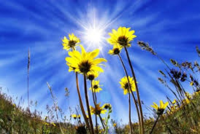 Sabahın havası bəlli oldu