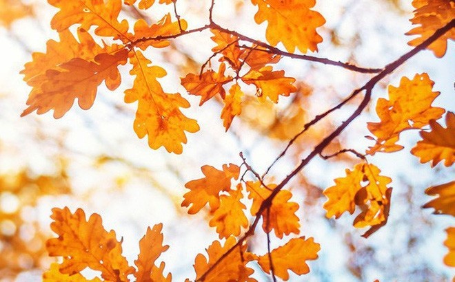 Sentyabr ayına olan hava proqnozu&nbsp;