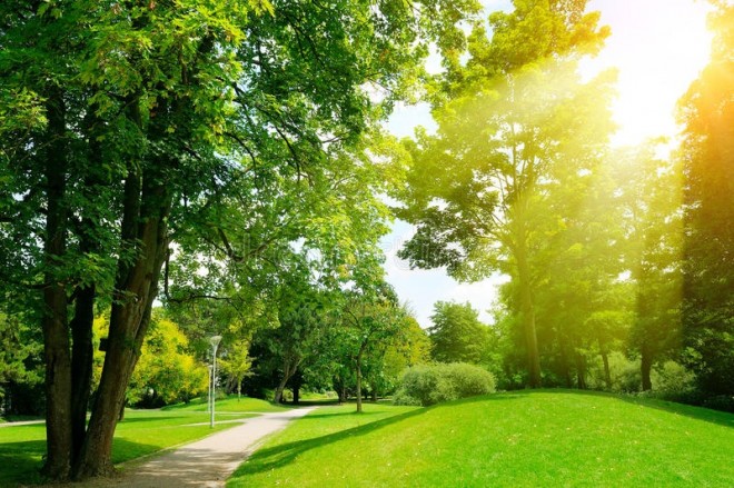 Sabaha gözlənilən hava şəraiti