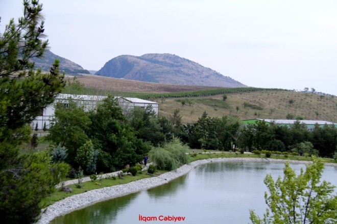 Sabah hava necə olacaq?