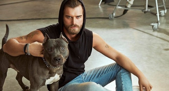 Aktyor sahibsiz heyvanlara sığınacaq qurur