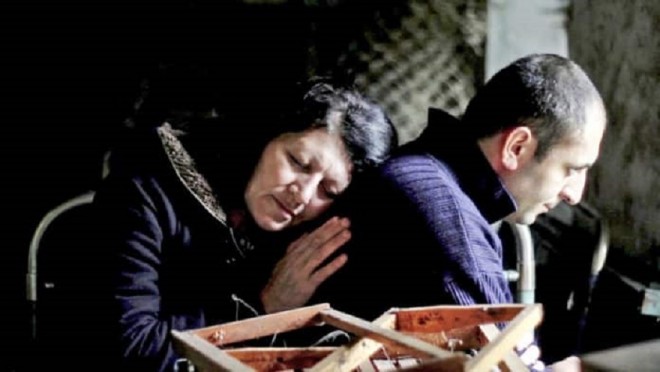 “Xurmalar yetişən vaxt” Belçikada - video