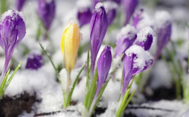 Dağlıq ərazilərə qar yağacaq