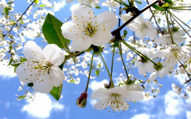 Bakıda 18 dərəcə isti olacaq