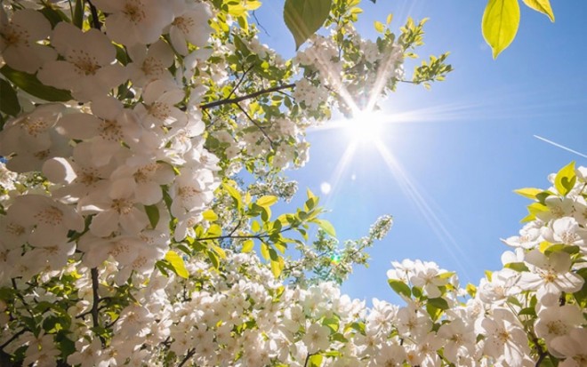 Aprel ayının ümumi havası - PROQNOZ