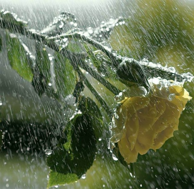 Sabaha yağış yağacaq