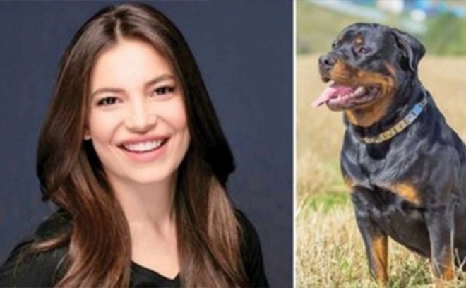 Aktrisanın üzünü it parçaladı