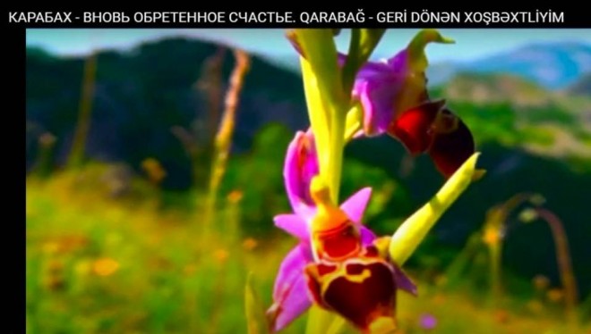 “Qarabağ – geri dönən xoşbəxtliyim” filmi çəkildi - foto