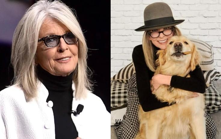 Aktrisa sərvətini itinə verdi