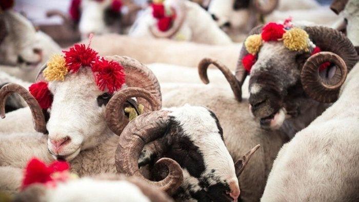 Azərbaycanda Qurban bayramıdır